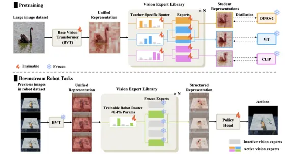 Overview of the VER vision expert architecture and robot-learning pipeline.